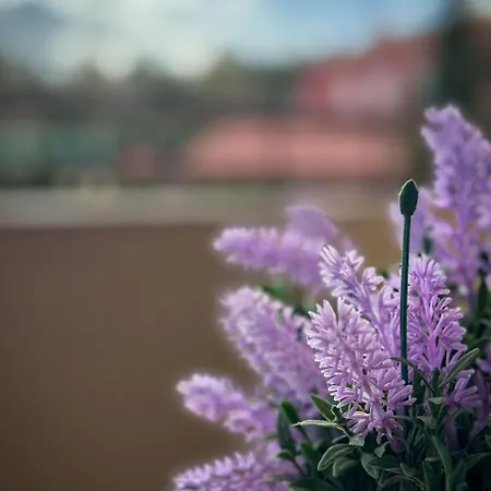 Apartmán Piastowska *